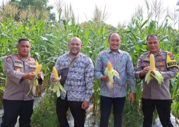 Jagung untuk Rakyat: Kapolres Natuna Bangkitkan Lahan Tidur Jadi Sumber Kehidupan