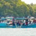 PT Timah Kembali Tebar Coral Garden di Pulau Putri
