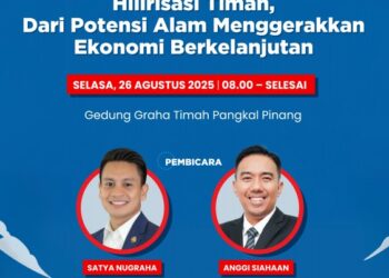 PT Timah
