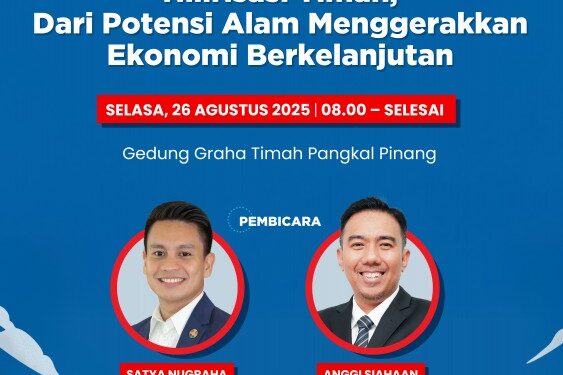 PT Timah