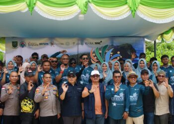 Festival pulau sena