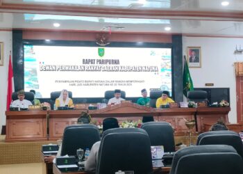 Hari jadi natuna