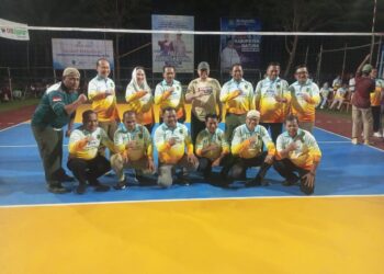 Volly