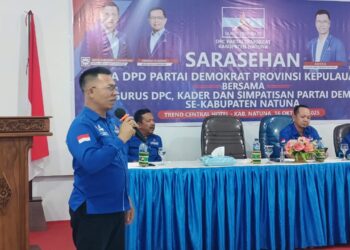 Aneng demokrat