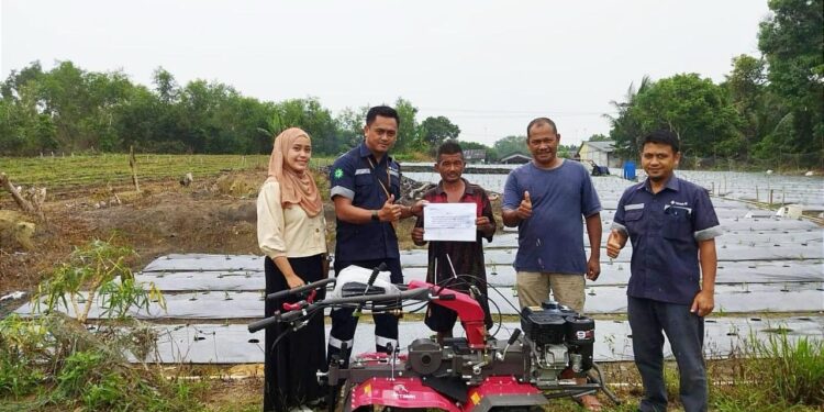 Pasca Dihujani Kritik dan Lemparan Batu, PT Timah Terus Tebar Manfaat untuk Petani Lokal