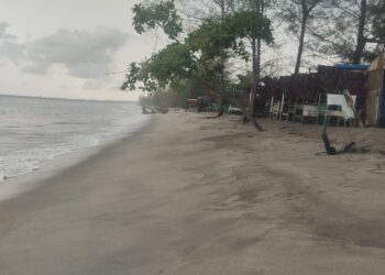 Mutiara pantai