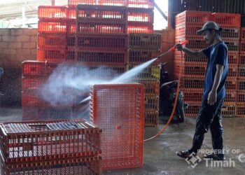 Tingkatkan UMKM, PT TIMAH Tbk Serahkan Mesin Steam untuk Pelaku Usaha Ayam Potong di Pangkalpinang