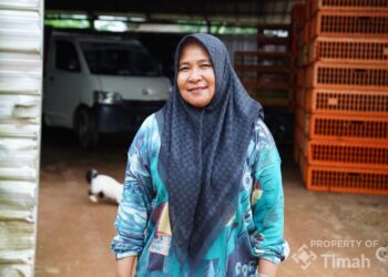 Rumah Ayam Potong Afriani Semakin Bangkit Usai Jadi Mitra Binaan PT TIMAH Tbk