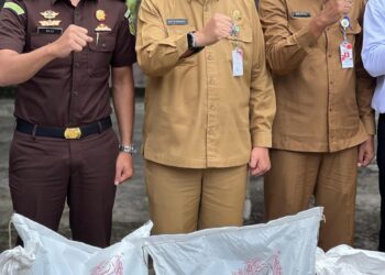 pupuk subsidi
