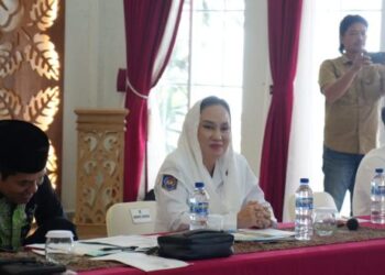 Cen Sui Lan Desak Dukungan Pusat, Komisi II DPR RI Diminta Perkuat Natuna