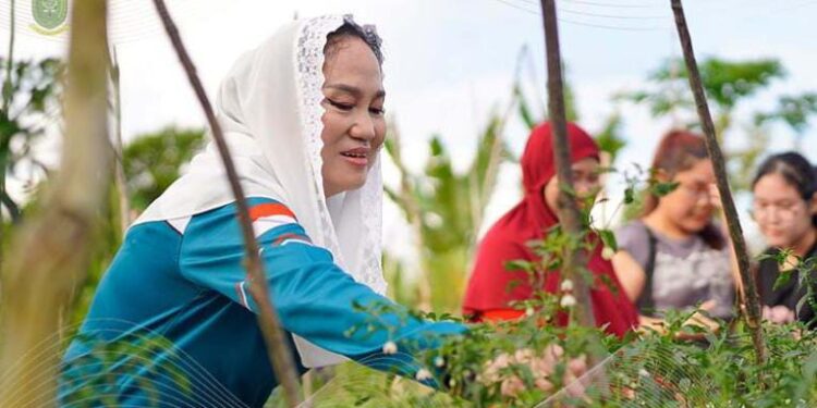 Bupati Cen Sui Lan Turun Langsung Panen Raya cabai, jambu citra, dan semangka, Petani Natuna Berseri-seri di Ladang