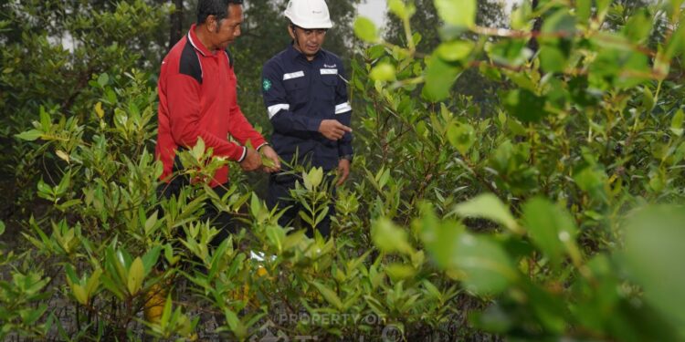 PT TIMAH Tbk Konsisten Dorong Pelestarian Lingkungan Melalui Program Seribu Pohon untuk Negeri
