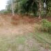 Kabel TR Jatuh Ke Tanah, Warga Asahan Minta Diperbaiki Sebelum Timbul Korban Jiwa