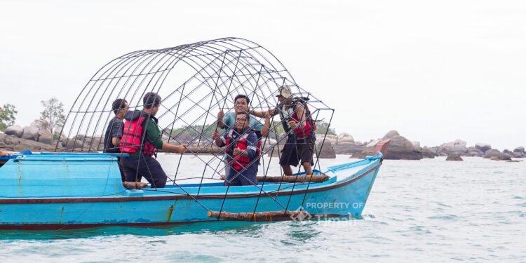 Ini Daftar Program TJSL, PPM dan PUMK PT TIMAH Tbk Tahun 2026, Mulai Pendidikan hingga Pelestarian Lingkungan