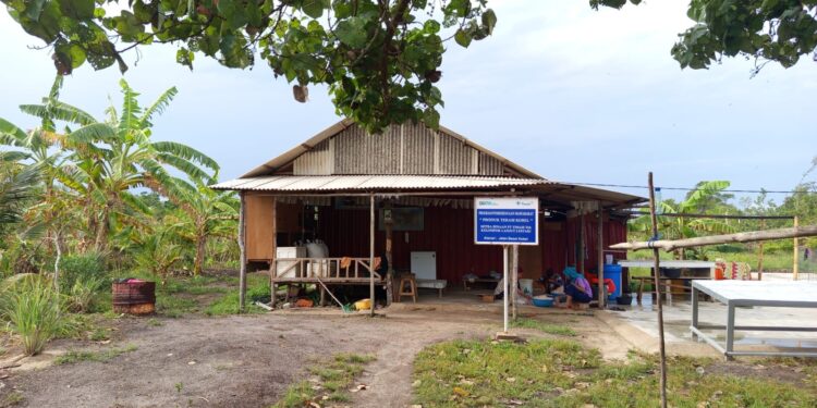 PT TIMAH Berdayakan KWT Lanjut Lestari Lewat Produk Belacan Cinta di Kundur