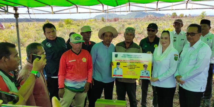 Bupati Natuna Turun Tangan Bantu Petani Korban Karhutla, Serahkan Pupuk hingga Uang Tunai
