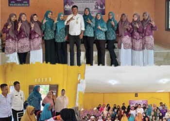 Transformasi Posyandu di Kecamatan Singkep Selatan, Kini Integrasikan Enam Bidang Pelayanan Dasar