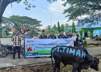 Hewan Kurban PT TIMAH Dirasakan Hingga Pelosok Rangsang Provinsi Riau 