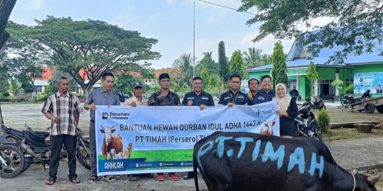 Hewan Kurban PT TIMAH Dirasakan Hingga Pelosok Rangsang Provinsi Riau 