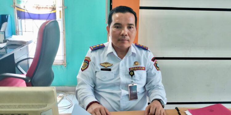 Dishub Karimun: Pengelolaan Parkir Sepenuhnya Menjadi Kewenangan PT MSM
