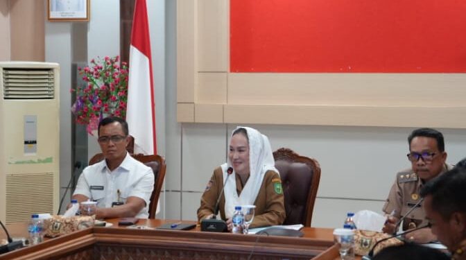 Bupati Cen Sui Lan Bawa Isu Konektivitas & DBH ke Dewan Pertahanan Nasional, Tegaskan Natuna Aset Geostrategis yang Harus Sejahtera