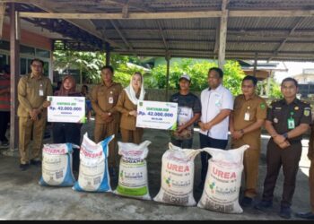 Pupuk subsidi