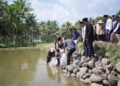 Bupati Solok Dampingi KKP Salurkan 120 Ribu Benih Ikan untuk Pulihkan Budidaya Pascabencana di Koto Sani