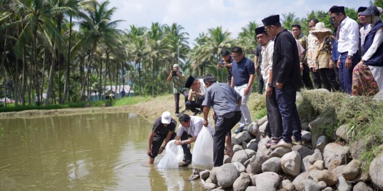 Bupati Solok Dampingi KKP Salurkan 120 Ribu Benih Ikan untuk Pulihkan Budidaya Pascabencana di Koto Sani
