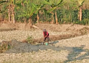 Profesor Sutan Nasomal Harapkan Presiden RI Prabowo Tugaskan Berbagai Elemen Kementerian Pertanian Pekerjaan Umum Sosial Atasi Kemarau Langka Air Akibat Hutan Higrasi!!