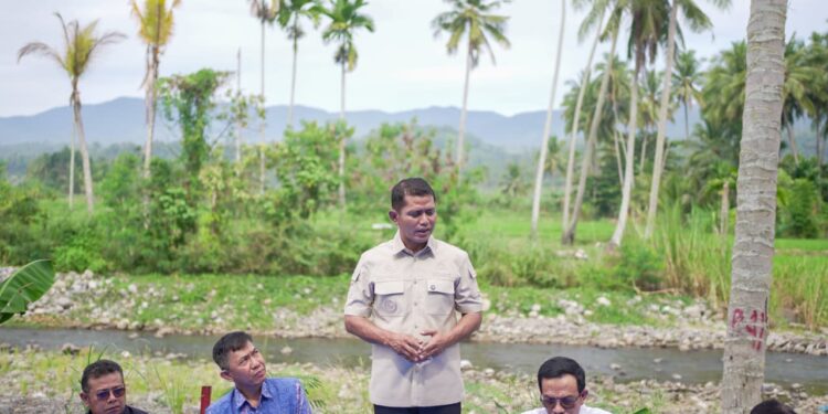 Bupati Jon Firman Pandu Sediakan Rp54,78 Miliar untuk Bangkitkan Pertanian Kabupaten Solok Pascabencana