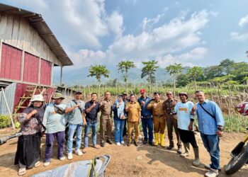 Wabup Solok Tinjau Potensi Kopi dan Bawang Merah di Anau Kadok