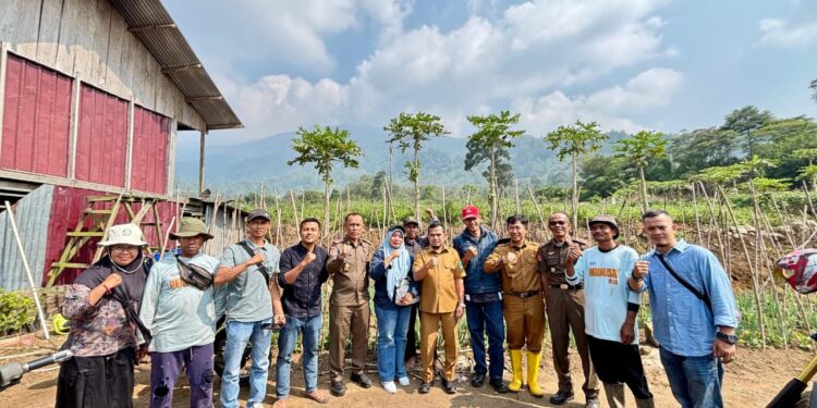 Wabup Solok Tinjau Potensi Kopi dan Bawang Merah di Anau Kadok