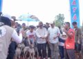 Bupati Solok Buka Alek Buru Babi di Nagari Kuncia, Perkuat Kebersamaan dan Tradisi Masyarakat