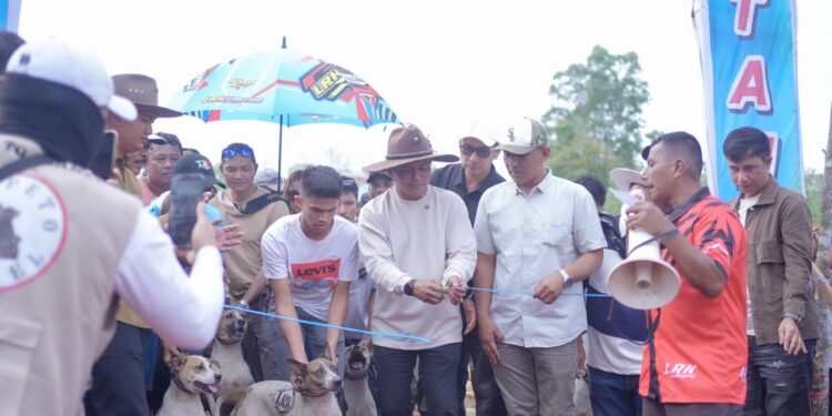 Bupati Solok Buka Alek Buru Babi di Nagari Kuncia, Perkuat Kebersamaan dan Tradisi Masyarakat